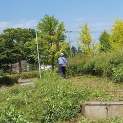 八戸市での草刈り・草むしりのことならLJPへおまかせください！