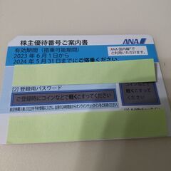 【ネット決済・配送可】ANA株主優待券1枚（2024年5月31日...