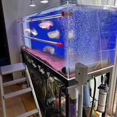 マイン水中ライトセット 1800観賞魚用 1500テンニングライト