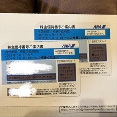 【ネット決済・配送可】【お急ぎ対応相談可】1枚:ANA、JAL、...