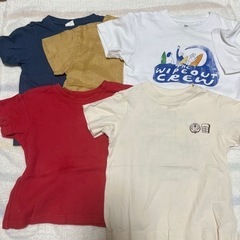 100 Tシャツ 5枚