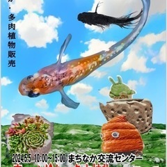 5/5 メダカ・・多肉植物販売します！