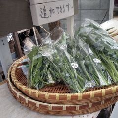 新鮮野菜タラの芽、かき菜、茎ブロッコリー各々50円を品出ししました。