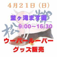 ４月２１日（日）釜ヶ滝ます園　ウーパールーパー販売