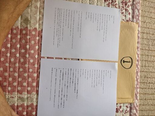③victory56西山勝敏ノ―べル[物理学賞/生理学医学賞/化学賞]フ―ルズ賞ガウス賞各賞チァレンジ特別入門講座用指定英和訳14論文