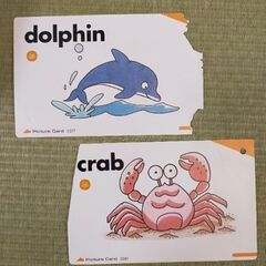 ペッピーキッズ 教材