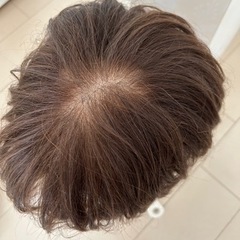 Mサイズ医療用ウィッグ（ジュリア・オージェ） Mサイズ医療用ウィッグ（ジュリア・オージェ）