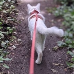 のんびりゆったり駅前散歩