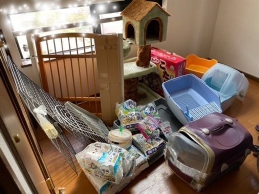 猫用品　スタートセット　まとめ売り
