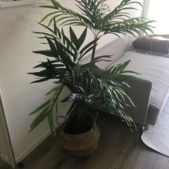 お取引中　フェイクグリーン　観葉植物　　造花