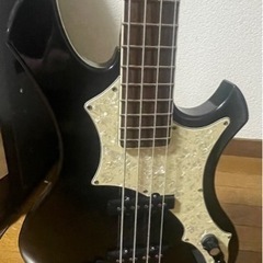GRASSROOTSれいたモデル