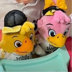 ハリーくん、ハニーちゃんのぬいぐるみを探しています！