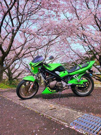スズキ　バンディット　GJ74a 250
