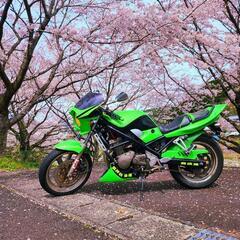 【ネット決済】スズキ　バンディット　GJ74a 250  