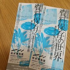 熊本博物館 招待券 ２枚 