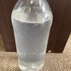 ゾウリムシ　500ml 1本  150円(めだか、メダカ、稚魚、...