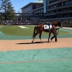 ２０２４年５月２６日日本ダービー神奈川県社会人競馬サークル参加者募集中