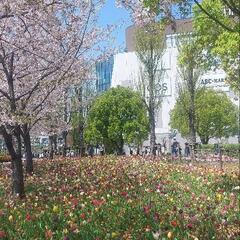 サイクリング🚴仲間(20歳以上)募集です😀 - メンバー募集