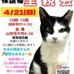 にゃんこねくと 4/21 保護猫里親会🐾