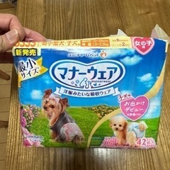 超小型犬  女の子用  マナーウェア