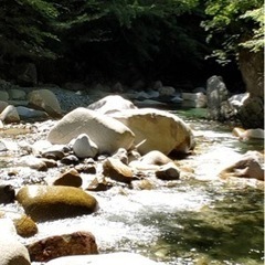 木曽の渓流釣り