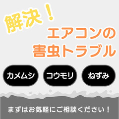 エアコン害虫トラブル💦お任せください　カメムシ｜コウモリ｜ネズミ対策　新潟・長岡・柏崎周辺の画像