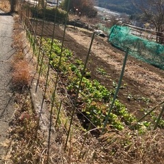 土地売買　　山梨県富士河口湖町大石