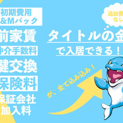 💖💃パック価格！『初期費用はコミコミ5万円(税込)だけ』宇都宮🐬1LDK🐬駐車場無料🐬K&M不動産💃💖 - 不動産