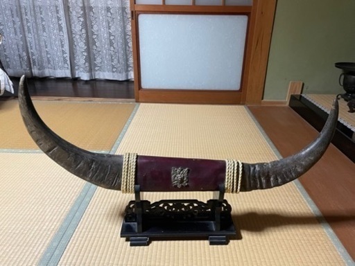 水牛の角