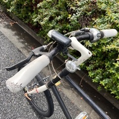 bruno スキッパーアップ　黒白