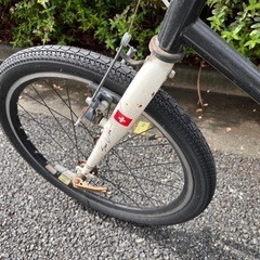 bruno スキッパーアップ　黒白