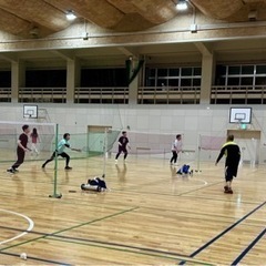 未経験者〜上級者🏸水、日曜バドミントンメンバー募集中‼️^…