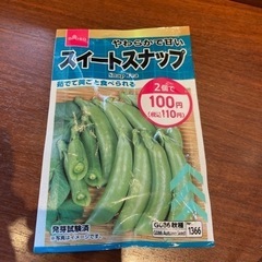 野菜 スイートスナップ 種