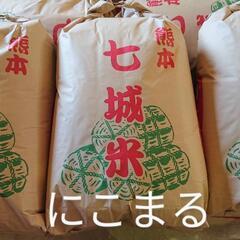 七城米【にこまる、玄米、特別栽培米、30キロ】No15