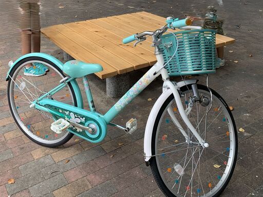 ブリヂストン ジュニア向け自転車 エコパル