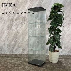 IKEA デトルフ 2台 - DETOLF/デトルフ ガラスケース 