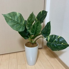 観葉植物　フェイクグリーン　造花　１　　　　