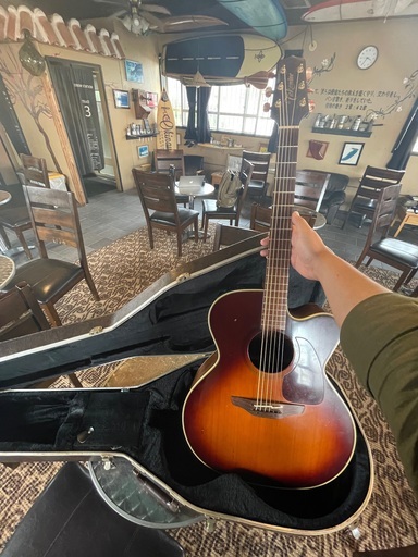 弦楽器、ギター Takamine NPT-012BS