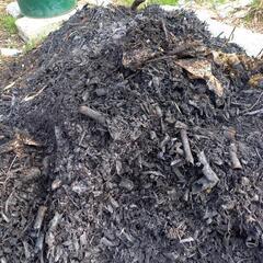 竹伐採で燃した炭,灰,如何でしょうか,土に混ぜると良いそうです。 - 手伝いたい/助けたい