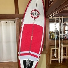 BIC SUP surf board
