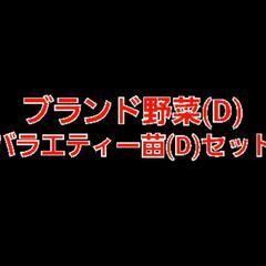 No.817　極甘小玉メロン入り‼️⑫ブランド夏野菜の苗(D)【...