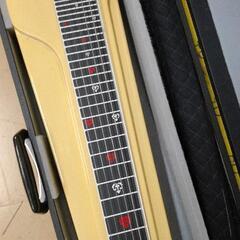 0416-229 スチールギター