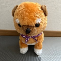 ぬいぐるみ柴犬