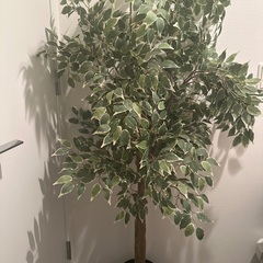 IKEA フェイクグリーン 観葉植物