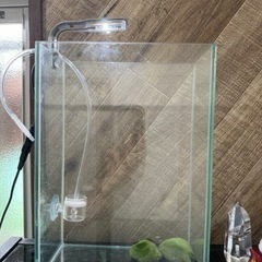 ガラス製 ミニ水槽