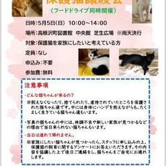 保護猫譲渡会　in  高根沢町の画像