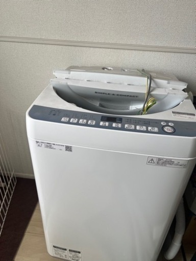 家電 生活家電 洗濯機