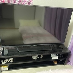 テレビ