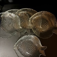 魚のガラス皿5枚セット