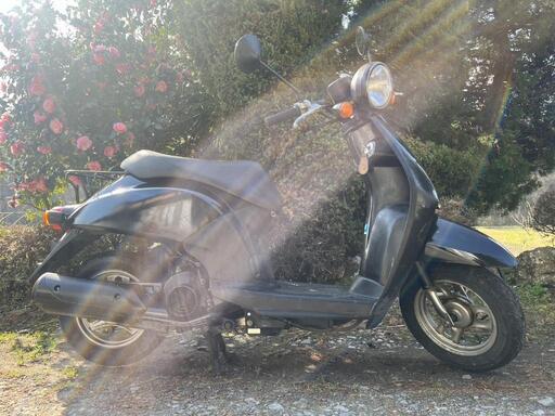 かえる 新型スクーター「Today」を94,800円で新発売 | Honda 企業情報サイト | 🛵